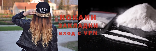 твердый Аркадак