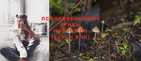 твердый Аркадак