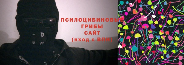 твердый Аркадак
