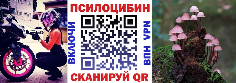 Псилоцибиновые грибы мицелий  Иннополис 